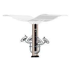 双柱腹肌板(图2)