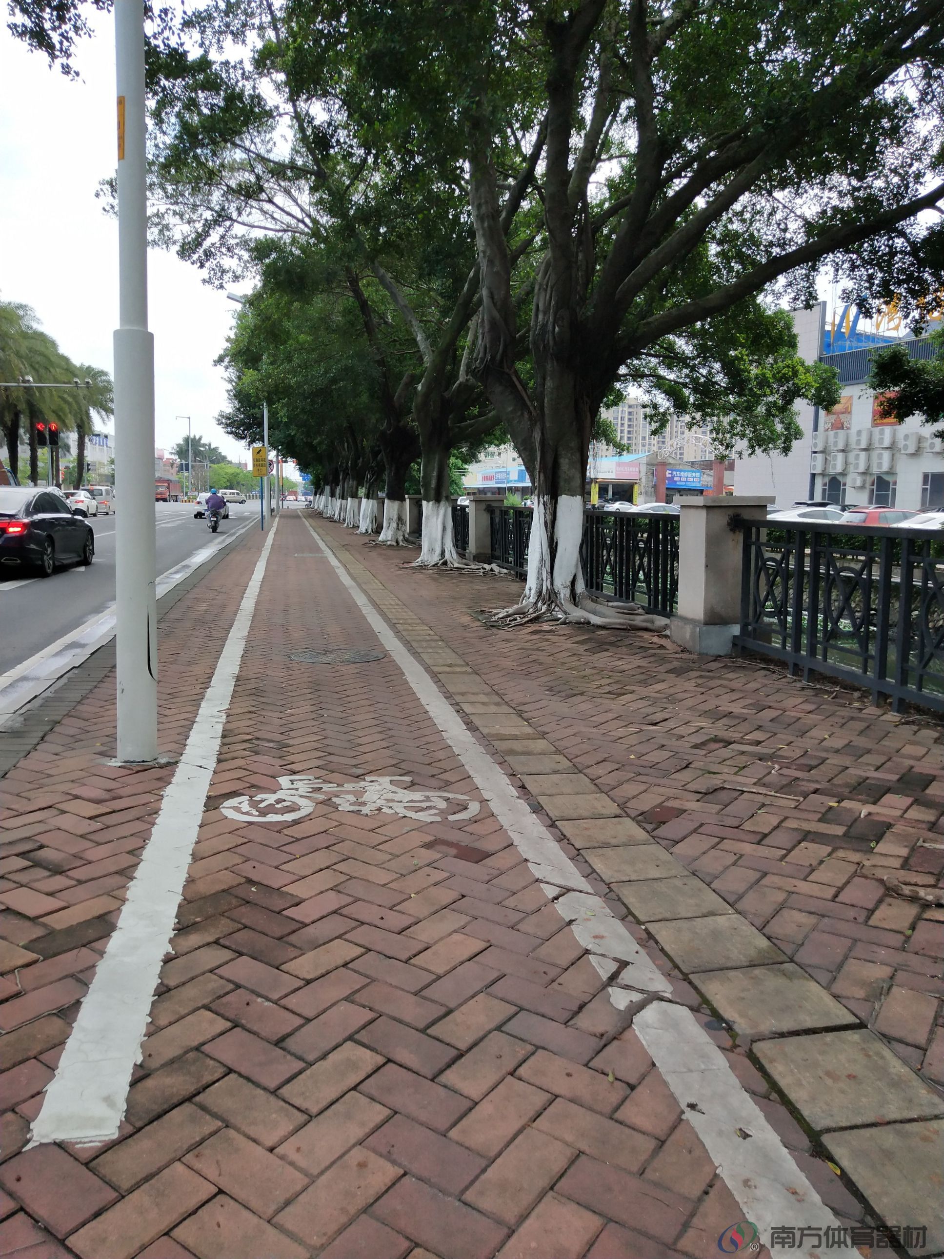 凤池社区步行骑行综合道(图1)