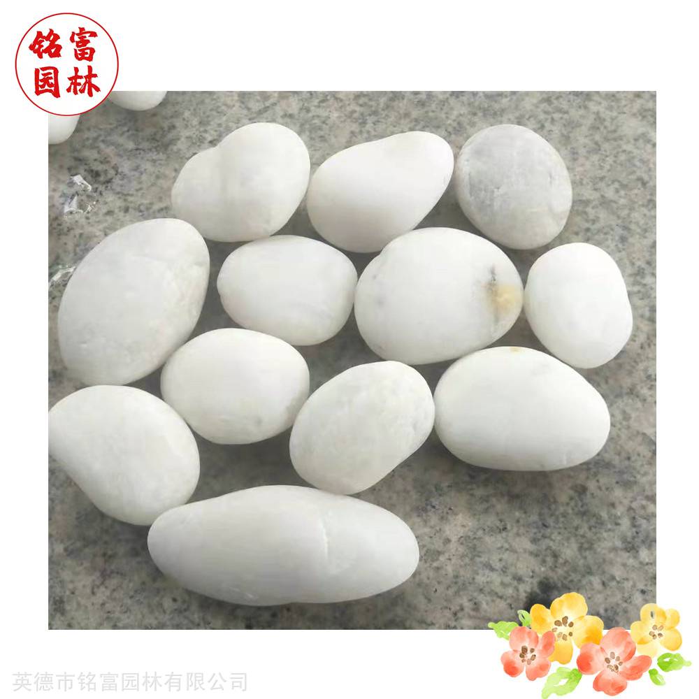 花园路径铺路石-白色鹅卵石-茂名鹅卵石厂家(图2)